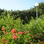 Appartamento Kocijan